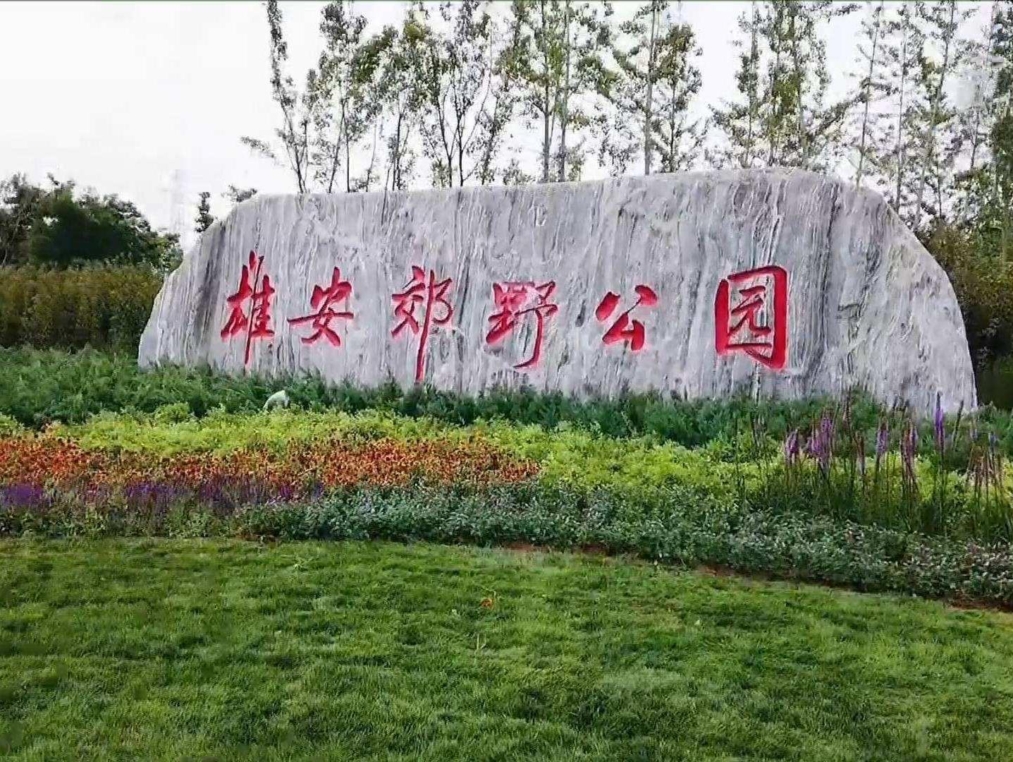 20220727092728_4474_1437x1080