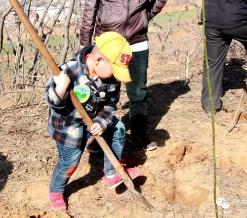 首页| 2003网站太阳集团接待您!